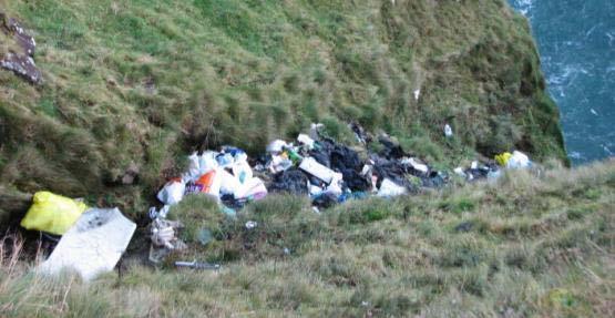were completed in 2010. The search for evidence is often an unpleasant and difficult task due to the nature of materials illegally dumped.