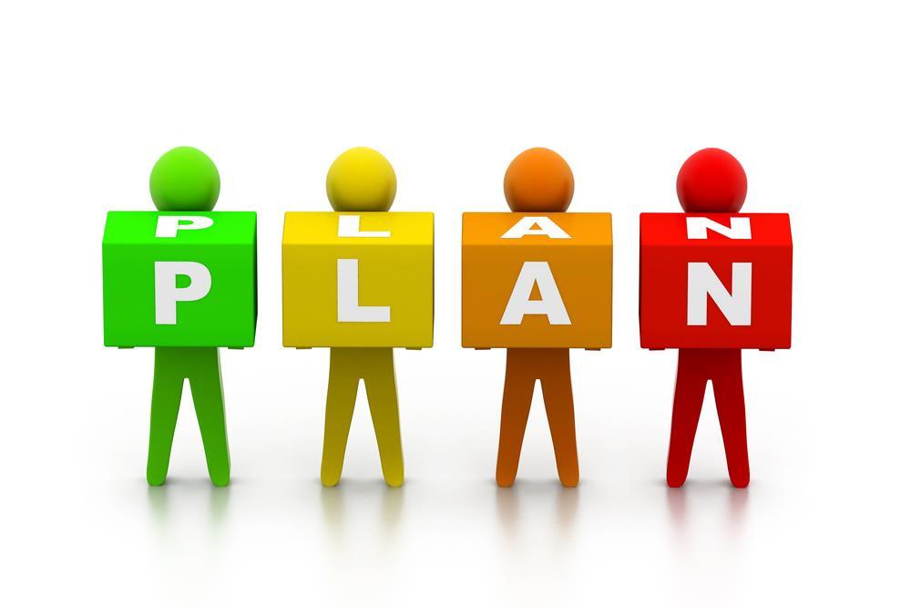 PLAN Develop the QI plan as related to the organization s priorities, mission, goals, population