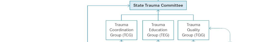 Victorian State Trauma System Designated levels of trauma care 3 major trauma centers 9 metropolitan trauma