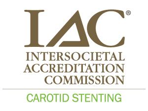 The IAC Standards for