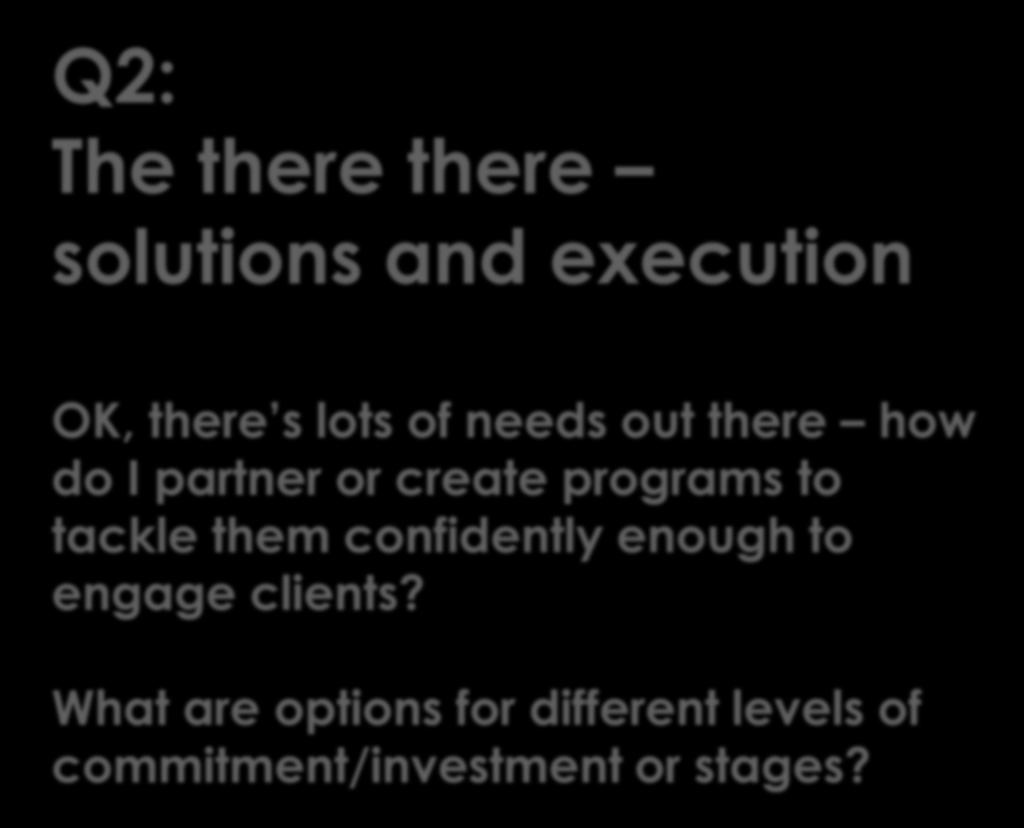 Q2: The there there solutions and execution OK, there s lots of needs out there how do I partner or create programs to