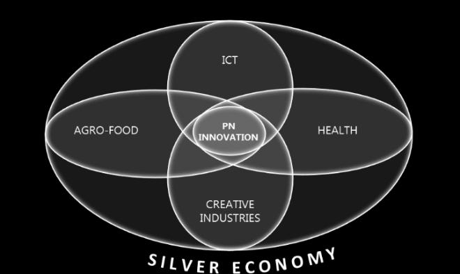 3 INCluSilver Innovation Voucher Open Call The open call adheres to Horizon 2020 standards with respect to transparency, equal treatment, conflict of interest and confidentiality and will be