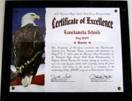 JROTC.awards.16 Rectangular wooden award with modern finish; American theme certificate attached under plexi-glass, certificate has an eagle image with U.S.