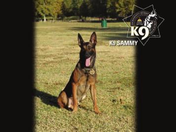 SSD s K-9s Provide Outstanding Performances at Competition Lake Tahoe was the setting for this years K-9 competition.