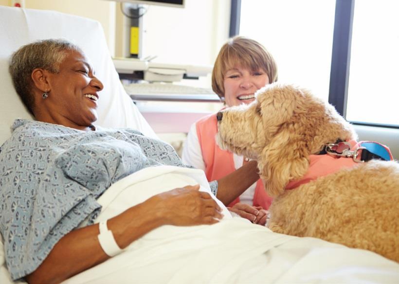 Communicating with patients, families and visitors Offer friendly greetings to all