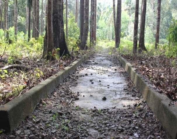 Laluan pejalan kaki dibina bagi memudahkan pengunjung bergerak dari satu tempat ke tempat lain di dalam hutan lipur.