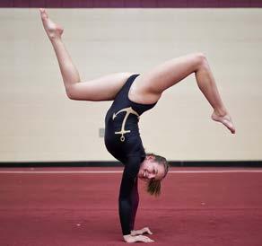 /Old Rochester Freshman Year (2013-14): Averaged scores of 8.816 on vault and 7.