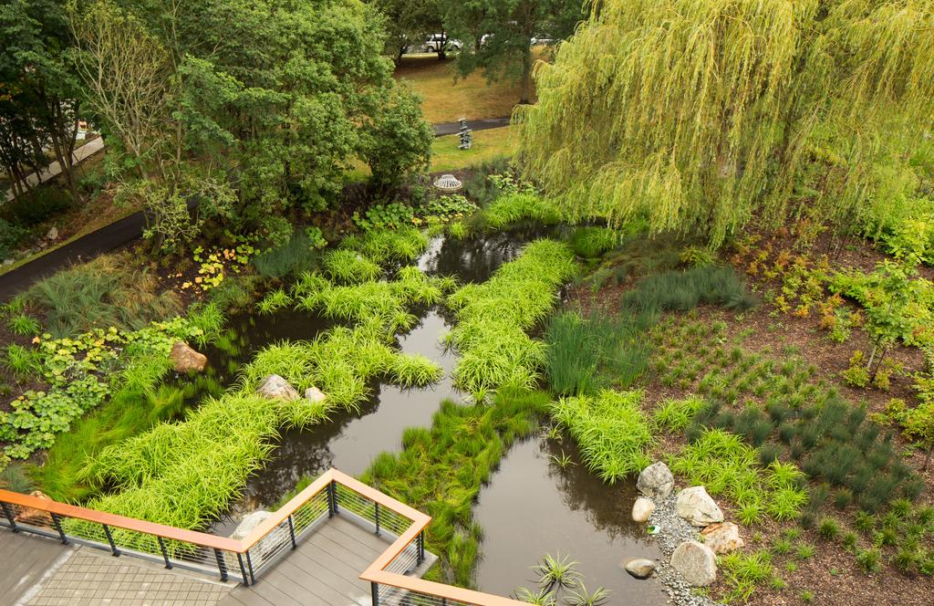 Restorative Landscapes, Caring for the Environment The Meridian Center for Health incorporates a range of design responses to minimize ecological impacts: from healthy materials to operable windows