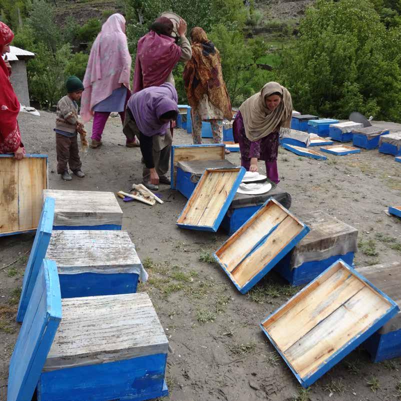 Our Flagship Projects Honey Bee Farming Women s economic Empowerment was initiated through the Honey Bee Farming Project in the northern and other areas of Pakistan.