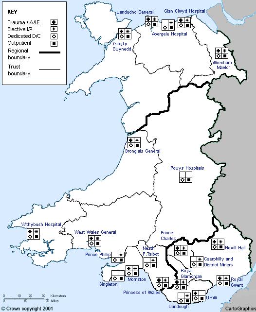 2.3 Capacity Figure 18: Trauma and Orthopaedic Services in Wales Source: (2003) The majority of trusts in Wales provide both trauma and orthopaedic services on each site 2.3.3 Bed Allocations The allocation and availability of beds for trauma and orthopaedic services is a critical factor for the delivery of care in this speciality.