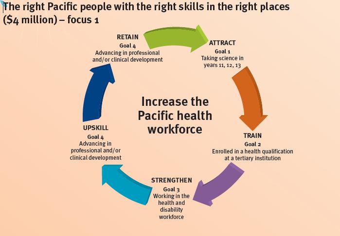 Focus one of the framework relates to Pacific workforce development. The policy conceptual framework identifies 5 stages in developing a Pacific health workforce.
