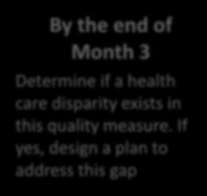 Month 3 By the end of Month 6 By the end of Month 9 (from the date of your start) Choose a quality measure to stratify by race,