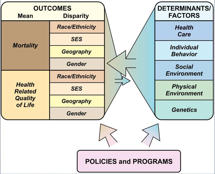 Social Determinants of Health Complex interplay of social and economic systems Social and structural systems in which people exist Systems designed to address people s health issues Shaped by income,