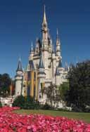 Location Hilton in the Walt Disney World Resort 1751 Hotel Plaza Boulevard Lake Buena Vista, FL 32830 Hotel Reservations Phone Number: 407/827-4000 (mention HCPro or The Greeley Company for the