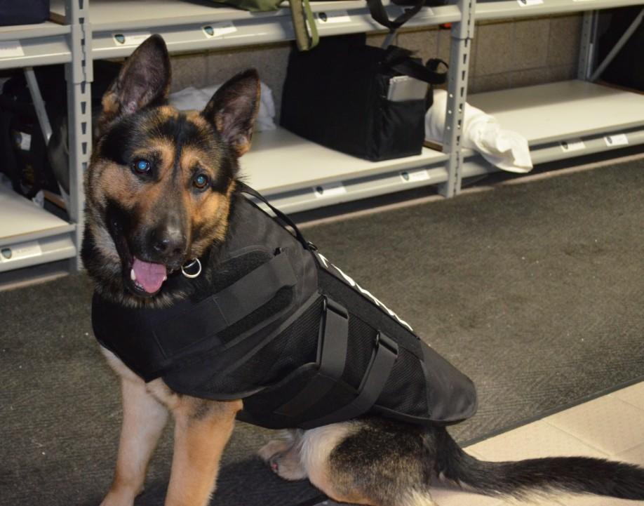 2014 Highlights 2014 Highlights K-9 Jace received a bulletproof vest in February thanks to an