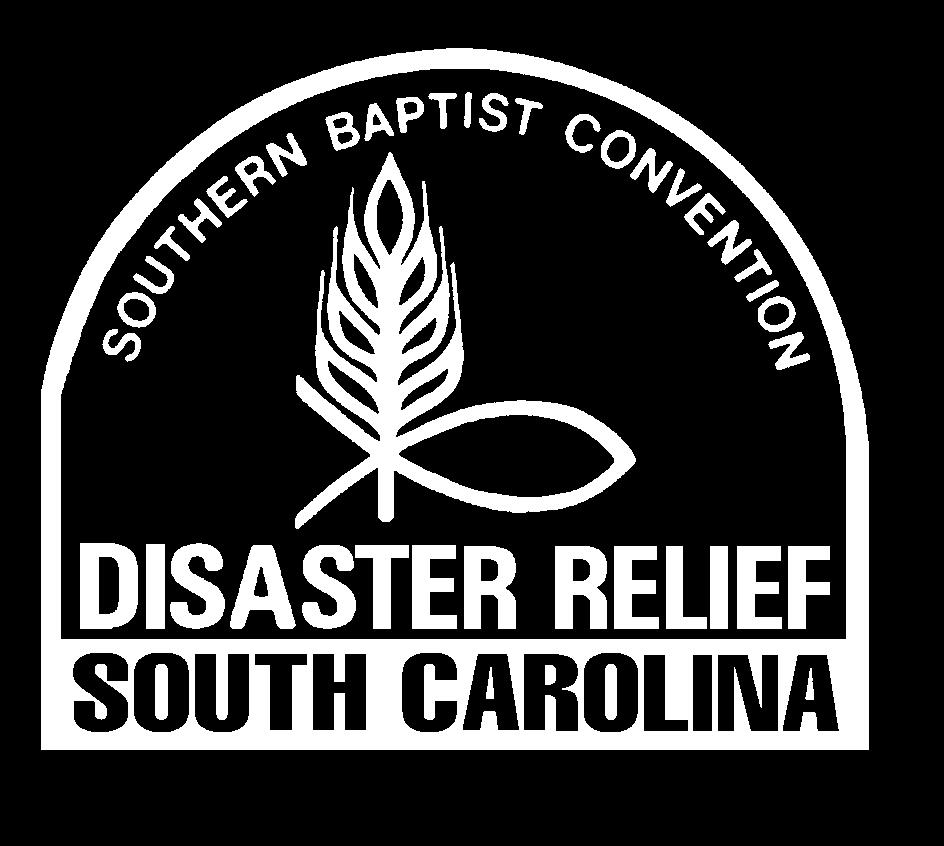 SOUTH CARC AROLINA DISAS ASTER RELIEF HOPE IN CRISIS SPRING 2010 Baptist Global Response In-Home Care Kit Challenge In Sub-Saharan Africa the HIV/AIDS crisis is affecting large segments of the