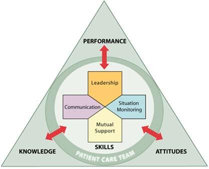 What Makes Up Team Performance?