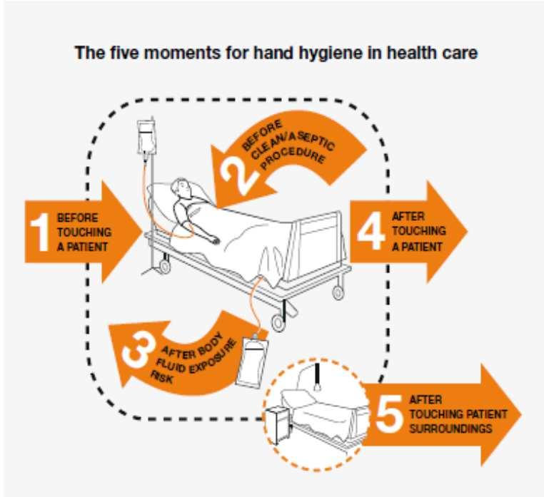 My 5 Moments, Hand Hygiene indications for