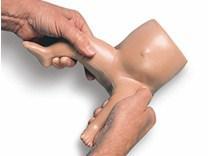 PAEDIATRIC PART TASK TRAINERS PAEDIATRIC LUMBAR PUNCTURE SIMULATOR Description: This model which represents a 7-10 month old infant is designed to practice the lumbar puncture procedure.