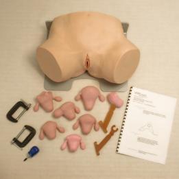 GYNAECOLOGICAL TRAINER Description: The Gynaecological Trainer is a highly realistic simulation of the female reproductive organs.