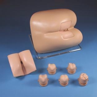 RECTAL EXAM TRAINER BASIC URINARY CATHETER TRAINING SET Description: A realistic representation of the buttocks, anus and rectum allowing for the practice of diagnostic skills associated with rectal