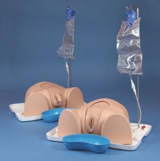 2kg Description: The Catheterisation Trainers allows the trainee to learn urinary catheterisation techniques.