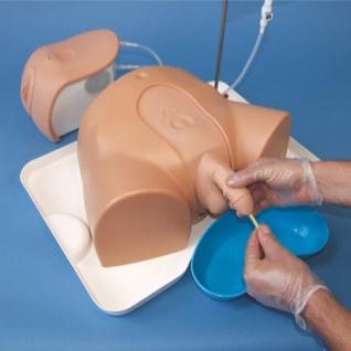 9kg ADVANCED CATHETERISATION TRAINER Description: The Advanced Catheterisation Trainer allows the trainee to learn urethral and supra-pubic catheterisation, as well as how to demonstrate