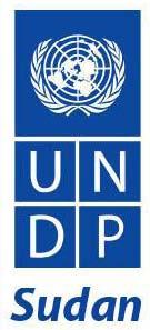 Sudan Disarmame nt, Demobilisation and Reintegration Programme Individual Reintegration component CALL FOR PROPOSALS (CFP/DDR/005/10) Call for Proposals for Implementation of Reintegration Support