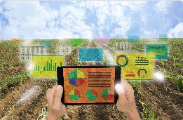 Technological areas explored: Sensors (meteo, soil, canopy, product, onboard/proximal etc) Data (acquisition,