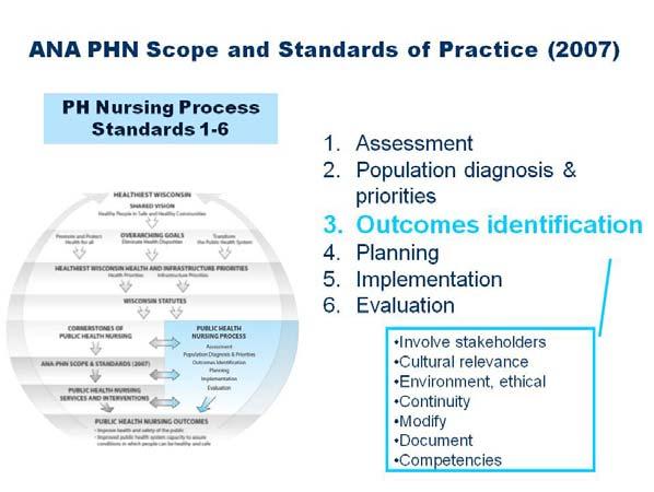 Throughout, the PHN must apply ethical, legal, and privacy guidelines and policies to the assessment step of the nursing process.