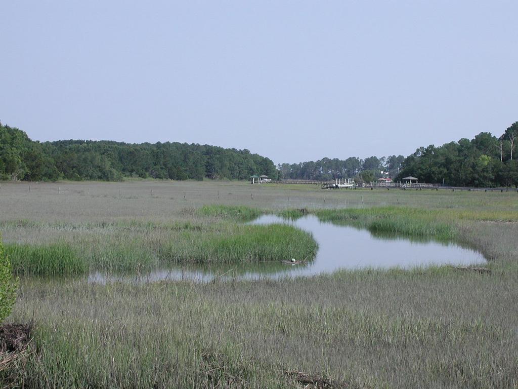 REPI partnerships have clear and successful results. The REPI project at Marine Corps Air Station Beaufort in South Carolina preserves wetlands to protect water quality near the installation.