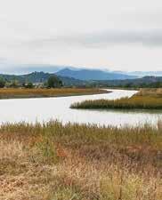 McInnis Marsh restoration project progressed into design and specification, after a