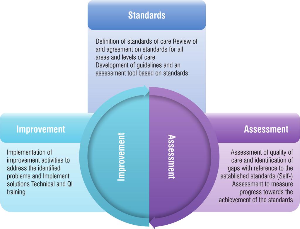 A Regional Framework 6. Documentation and publication of QI efforts and recognition and celebration of achievements of the standards 7.