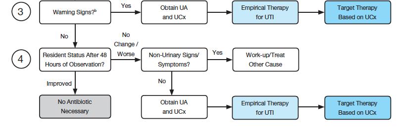 Unified algorithm for the diagnostic evaluation and treatment for suspected UTI in nursing homes Improving the Management of