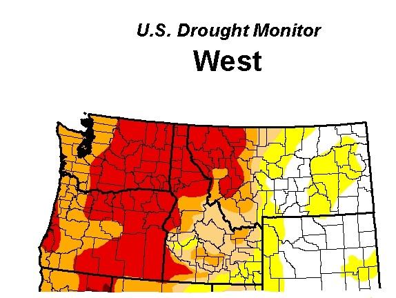 Drought & Low Water Impacts Region Wide Impacts during this past water year Impacts West of the Rockies,