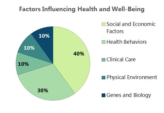 Factors Influencing Health: Medical care is