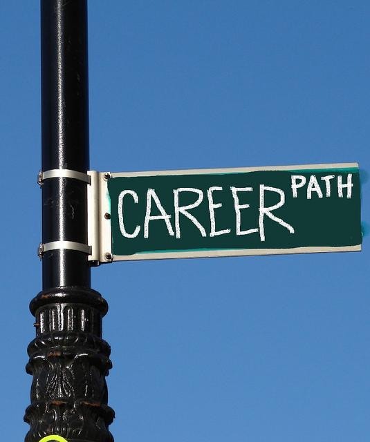 What is a Career Framework?