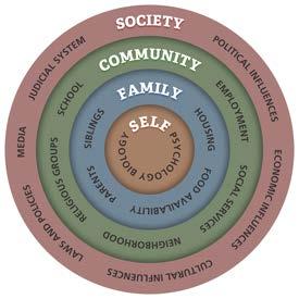 Prevention Domains Individual/Peer Family School Community Each domain presents an opportunity for preventive