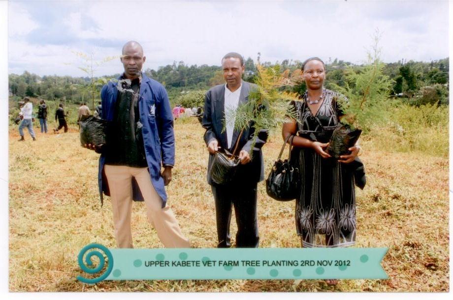 CIPL staff participates in tree planting In line with the National Reform Policy in Forestry which requires active participation by all in order to ensure the attainment of 10% forest cover in Kenya,