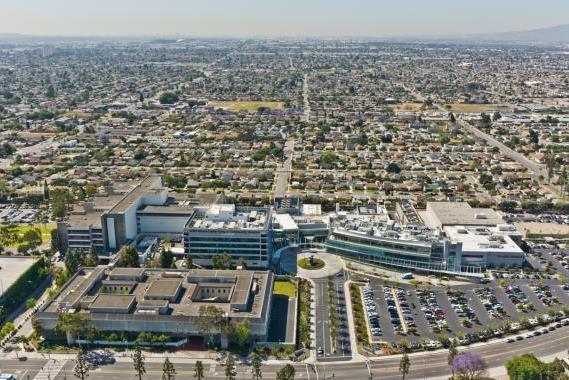 Los Angeles, California T he Director Care Management will be located in Los Angeles, California. Los Angeles, California Nicknamed the City of Angels, Los Angeles has something for everyone.