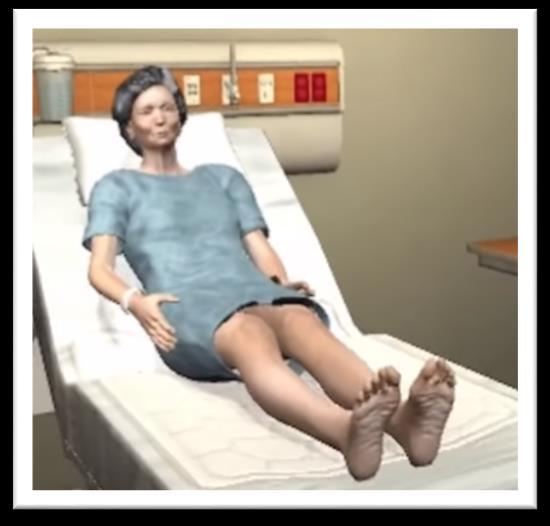 e-simulation: Assessment and Communication Nursing Care of Adults II: Head-to-toe