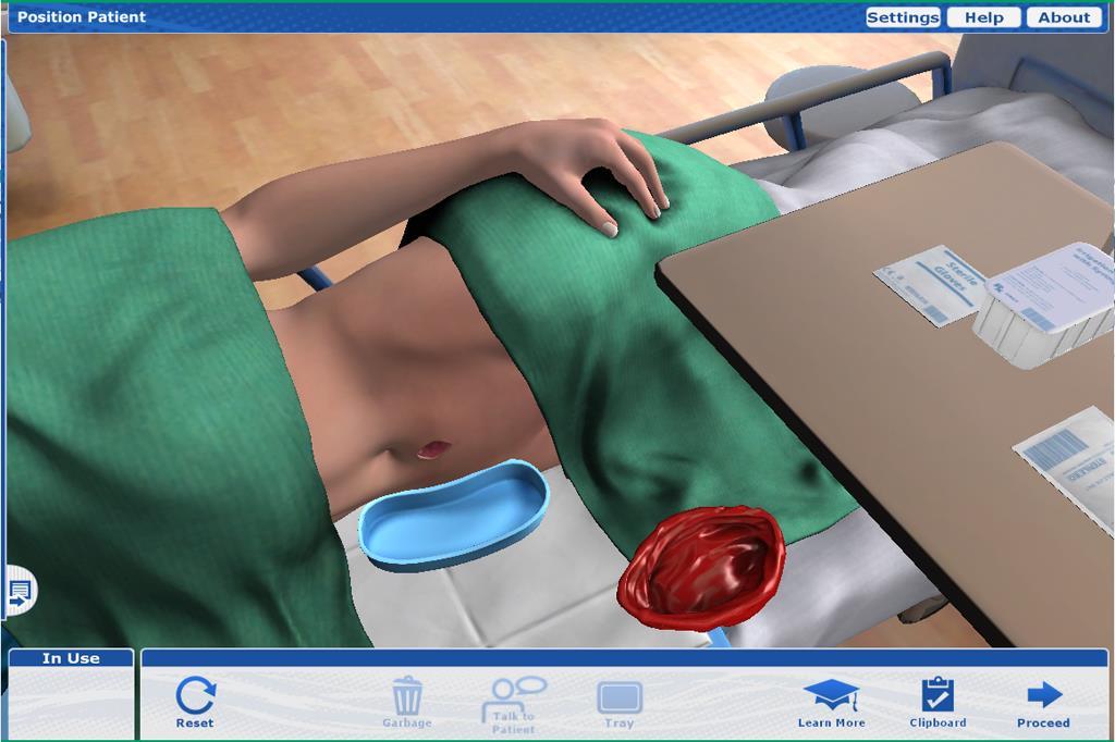 e-simulation: Skills and Procedures Nursing Care of Adults II: 1.