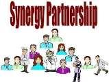 The Synergy Partnership Seven elements Establish participant commitment Clarify profession actions & accountabilities Structure integration of student learning with clinical