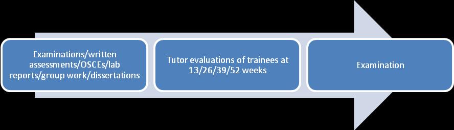 As well as having an assessment role, pre-registration tutors act as mentors and professional role models for trainees.