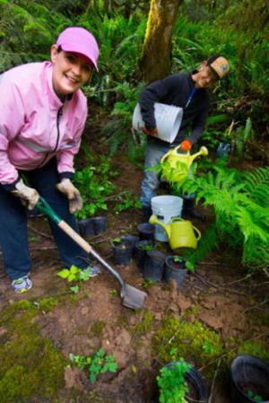 All these projects involve considerable volunteer time, and the BC Naturalists Foundation and BC Nature applaud the tremendous contributions of club volunteers to further the voice of nature in their