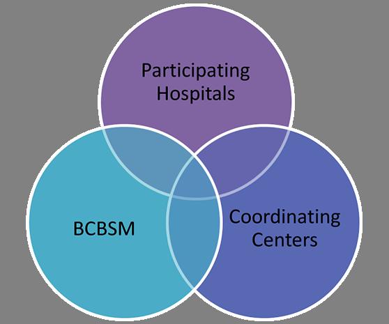 BCBSM Hospital CQI Program Framework Contribute to All