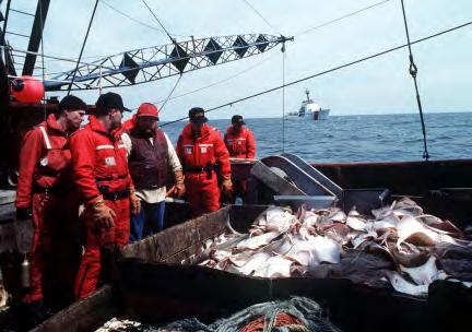 Domestic Fisheries Enforcement Program Protect America s $52