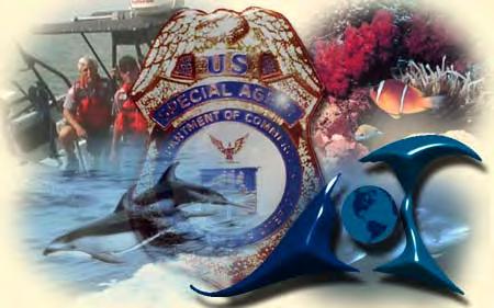 NOAA Fisheries The Office for Law Enforcement HEADQUARTERS STAFF Director (Chief) Deputy Director (Deputy Chief) Branch Chief SOUTHEAST DIVISION Special Agent-in-Charge Deputy Special Agent-in-Charge