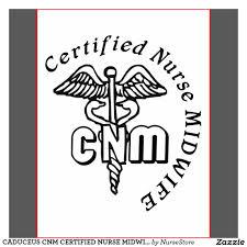 CERTIFIED NURSE MIDWIVES CNMs Provide primary care to women Gynecological exams Family
