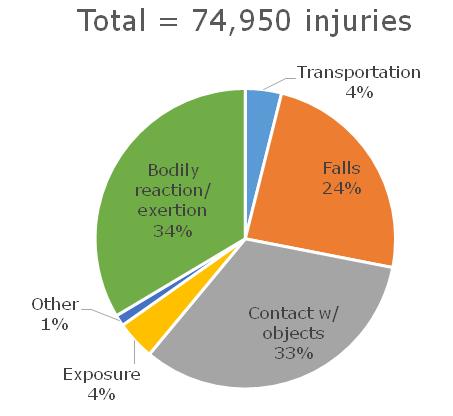 Prevalence and Causality of Incidents Types of